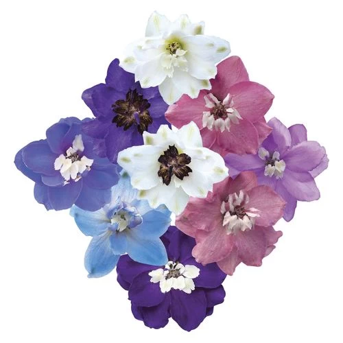 Magic Fountain Mix Delphinium Seeds 5 Magic Fountain Mix Delphinium Seeds - Image 3