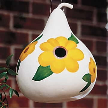 Birdhouse Gourd Seeds 3 Birdhouse Gourd Seeds