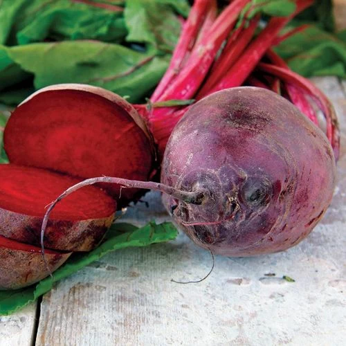 Detroit Dark Red Beet Seeds 4 Detroit Dark Red Beet Seeds - Image 2