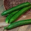 Tasty Green Hybrid Cucumber Seeds 2 Tasty Green Hybrid Cucumber Seeds -Botanical Bliss 05110