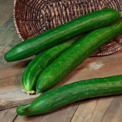 Tasty Green Hybrid Cucumber Seeds (P) Pkt Of 30 Seeds