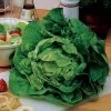 Buttercrunch Lettuce Seeds