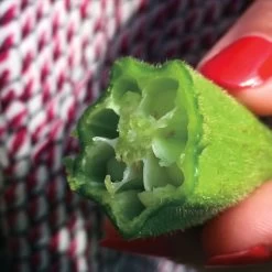 Clemson Spineless Okra Seeds -Botanical Bliss 05195 PK P1 1