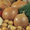 Candy Hybrid Onion Seeds (P) Pkt Of 200 Seeds -Botanical Bliss 05210 pk p1
