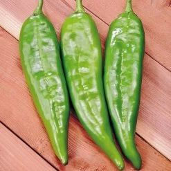 Sahuaro Hybrid Pepper Seeds