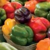 Park Seed Sweet Rainbow Mix Pepper Seeds -Botanical Bliss 05245