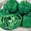 California Wonder Pepper Seeds -Botanical Bliss 05253 PK 2500