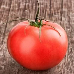 Beefmaster Hybrid Tomato Seeds 5 Beefmaster Hybrid Tomato Seeds -Botanical Bliss 05322 1