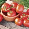 Celebrity Hybrid Tomato Seeds -Botanical Bliss 05337