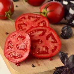 Better Bush Hybrid Tomato Seeds