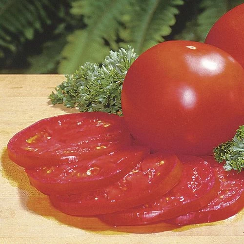 Better Bush Hybrid Tomato Seeds 4 Better Bush Hybrid Tomato Seeds - Image 2