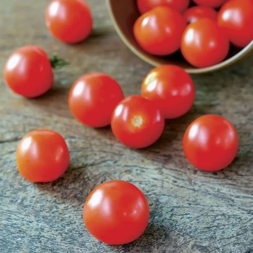 Supersweet 100 Hybrid Cherry Tomato Seeds 5 Supersweet 100 Hybrid Cherry Tomato Seeds - Image 3