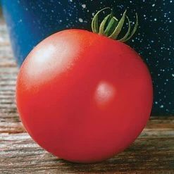 Mountain Fresh Plus Hybrid Tomato Seeds