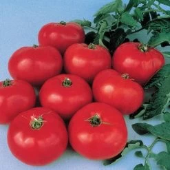 Brandywine Tomato Seeds (P)Ā Pkt Of 30 Seeds