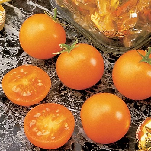Sunsugar Hybrid Tomato Seeds 3 Sunsugar Hybrid Tomato Seeds