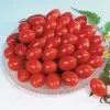 Sugary Cherry Tomato Seeds 2 Sugary Cherry Tomato Seeds -Botanical Bliss 05403 pk 250