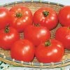 Amelia Vr Hybrid Tomato Seeds 1 Amelia Vr Hybrid Tomato Seeds -Botanical Bliss 05405 pk 250