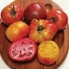 Rainbow Blend Heirloom Tomato Seeds -Botanical Bliss 05411 pk p1