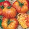 Big Rainbow Tomato Seeds (P) Pkt Of 30 Seeds