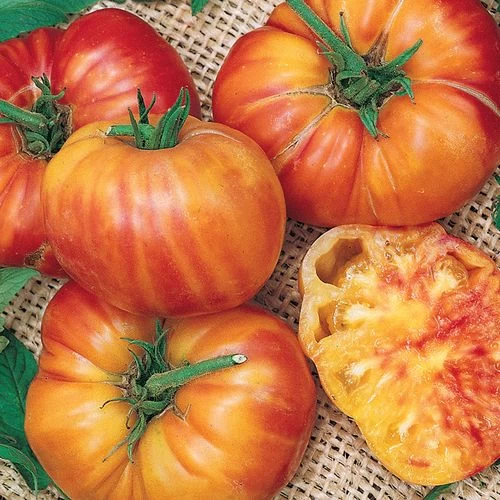 Big Rainbow Tomato Seeds (P) Pkt Of 30 Seeds 3 Big Rainbow Tomato Seeds (P) Pkt Of 30 Seeds