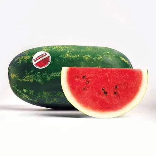 Sangria Hybrid Watermelon Seeds (P) Pkt Of 10 Seeds 3 Sangria Hybrid Watermelon Seeds (P) Pkt Of 10 Seeds