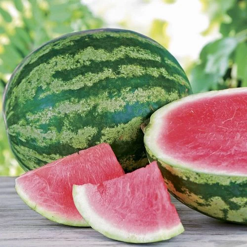 Triple Crown Hybrid Seedless Watermelon Seeds 3 Triple Crown Hybrid Seedless Watermelon Seeds