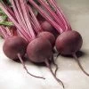 Red Ace Hybrid Beet Seeds -Botanical Bliss 05576