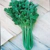 Tango Hybrid Celery Seeds -Botanical Bliss 05585 pk p1