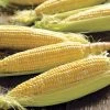 Honey 'N Pearl Hybrid Corn Seeds -Botanical Bliss 05587