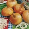 Walla Walla Sweet Onion Seeds -Botanical Bliss 05777