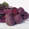 Boro Hybrid Organic Beet Seeds -Botanical Bliss 05834 pk p1