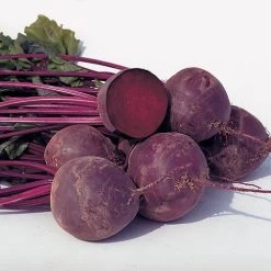 Boro Hybrid Organic Beet Seeds