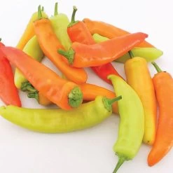 Hungarian Wax Organic Pepper Seeds -Botanical Bliss 05838 PK 500 1