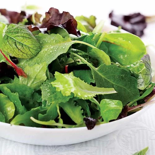 Salad Bowl Mix Organic Greens Seeds 3 Salad Bowl Mix Organic Greens Seeds