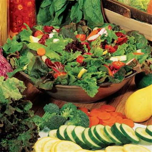 Salad Bowl Mix Organic Greens Seeds 4 Salad Bowl Mix Organic Greens Seeds - Image 2