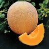 Hale's Best Organic Melon Cantaloupe Seeds (P) Pkt Of 20 Seeds -Botanical Bliss 05843 pk p1