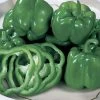 California Wonder Organic Pepper Seeds (P) Pkt Of 20 Seeds -Botanical Bliss 05844 PK P1