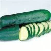 Marketmore Select Organic Cucumber Seeds -Botanical Bliss 05847