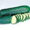 Marketmore Select Organic Cucumber Seeds (P)Â Pkt Of 20 Seeds 2 Marketmore Select Organic Cucumber Seeds (P)Â Pkt Of 20 Seeds -Botanical Bliss 05847 pk p1