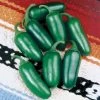 Early Jalapeño Organic Pepper Seeds (P) Pkt Of 25 Seeds -Botanical Bliss 05856 pk p1