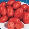 Organic Roma Tomato Seeds 2 Organic Roma Tomato Seeds -Botanical Bliss 05931 pk p1
