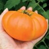 Kellogg's Breakfast Organic Tomato Seeds 1 Kellogg's Breakfast Organic Tomato Seeds -Botanical Bliss 05932 pk p1