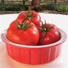 Mater Sandwich Organic Hybrid Tomato Seeds -Botanical Bliss 05943