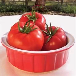 Mater Sandwich Organic Hybrid Tomato Seeds