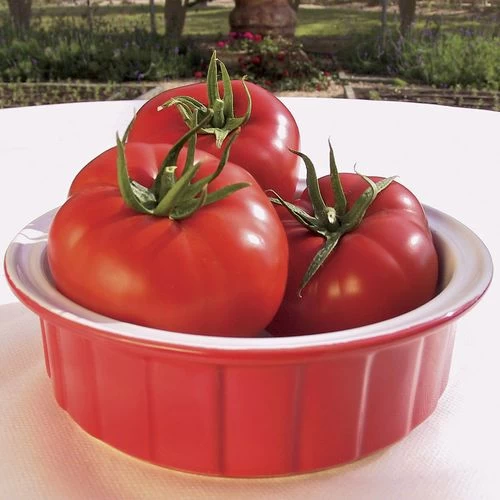 Mater Sandwich Organic Hybrid Tomato Seeds (P) Pkt Of 20 Seeds 4 Mater Sandwich Organic Hybrid Tomato Seeds (P) Pkt Of 20 Seeds - Image 2