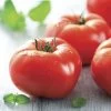 Mater Sandwich Organic Hybrid Tomato Seeds (P) Pkt Of 20 Seeds 1 Mater Sandwich Organic Hybrid Tomato Seeds (P) Pkt Of 20 Seeds -Botanical Bliss 05943 pk p1