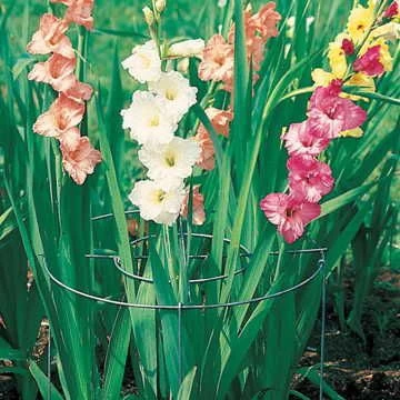 Plant Support Hoops - Pack Of 3 3 Plant Support Hoops - Pack Of 3