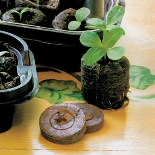 Jiffy® Regular Windowsill Greenhouse 4 Jiffy® Regular Windowsill Greenhouse - Image 2