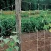 Park's Trellis Netting - 5ft X 30ft -Botanical Bliss 06521