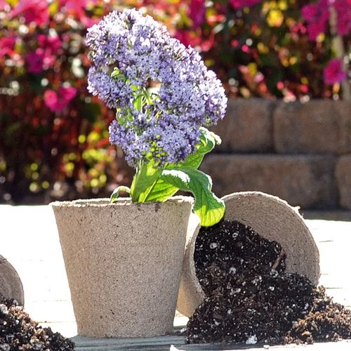 Jiffypots® 3-inch Round Biodegradable (Pack Of 22) 4 Jiffypots® 3-inch Round Biodegradable (Pack Of 22) - Image 2